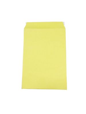 Enveloppes à support de carton d'impression acceptées ne se plient pas Enveloppe Kraft pour affiches