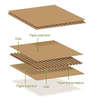 Emballage de livraison Rigid Flat Corrugated Book Mailers Enveloppe pour une logistique personnalisée